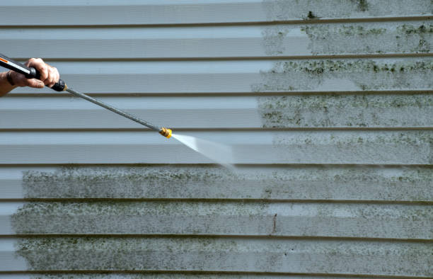 Best Building Exterior Pressure Washing in Ruckersville, VA
