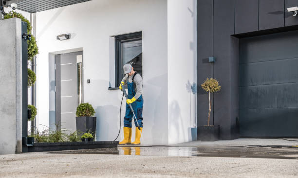 Best Window and Screen Pressure Cleaning in Ruckersville, VA
